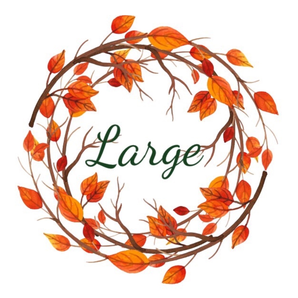 Large! - Picture 4 of 4